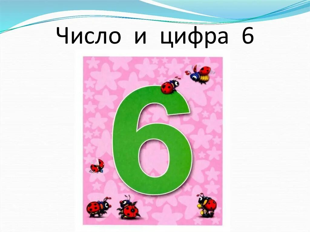 Число и цифра 6. Цифра 6 для презентации. Число и цифра 6 презентация. Цифра 6 урок.