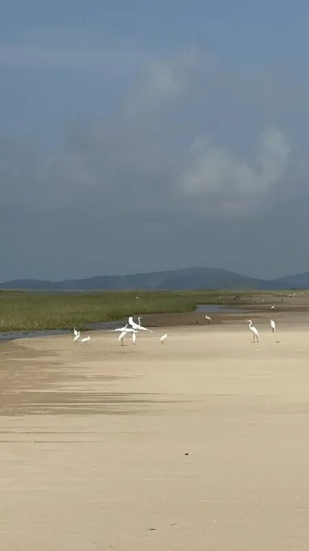 край 3 границ. охотхозяйство голубиный утес приморский край. край 3 границ. край 3 границ. край 3 границ.