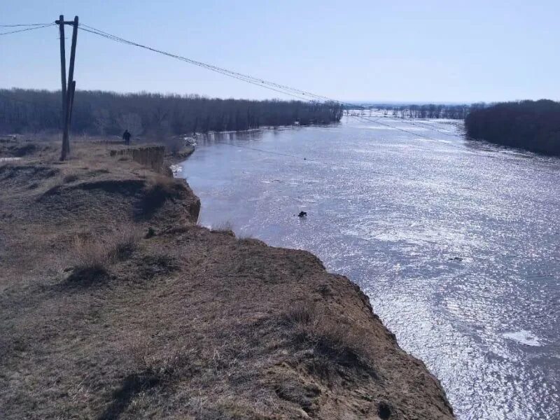 Уровень воды в чарыше на сегодня. Река Жиздра разлив. Разлив реки Протва. Разлив реки Ишим в 2020. Разлив реки Мокша 2023.