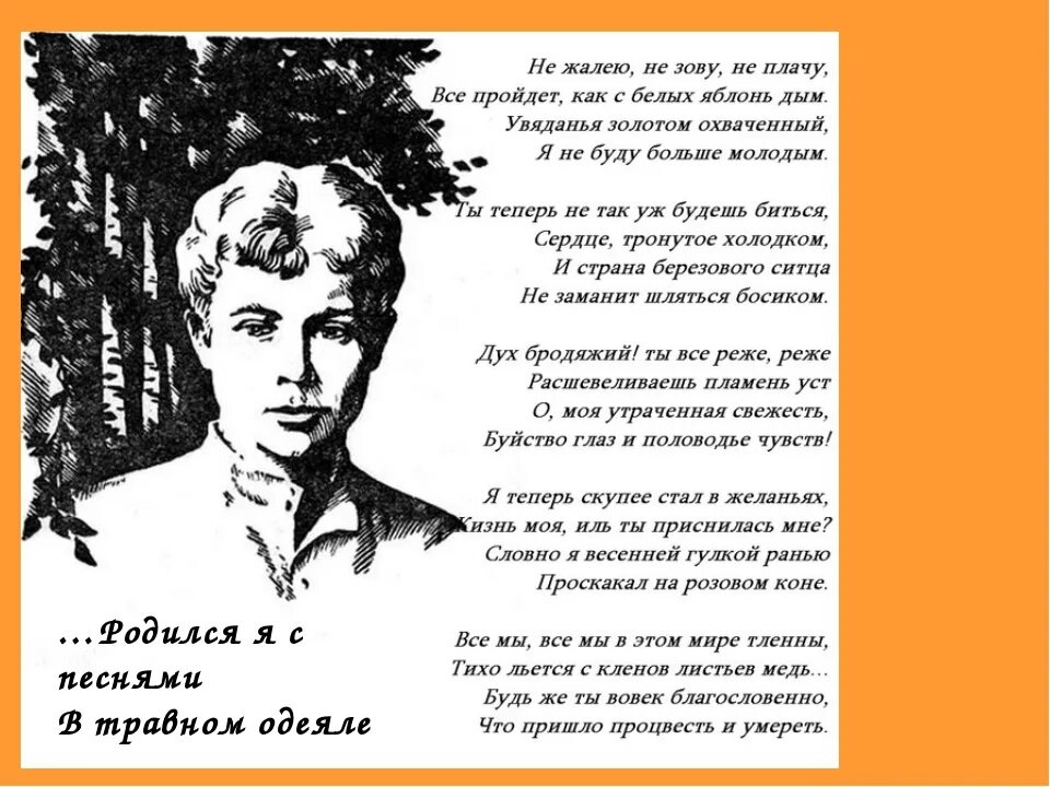 Есенин не зову не плачу жалею слушать. С. Есенин. Не жалею не зову не плачу Есенин. Не жалею не зову не плачу с Есенина. Стихотворение Есенина не жалею не зову не плачу.