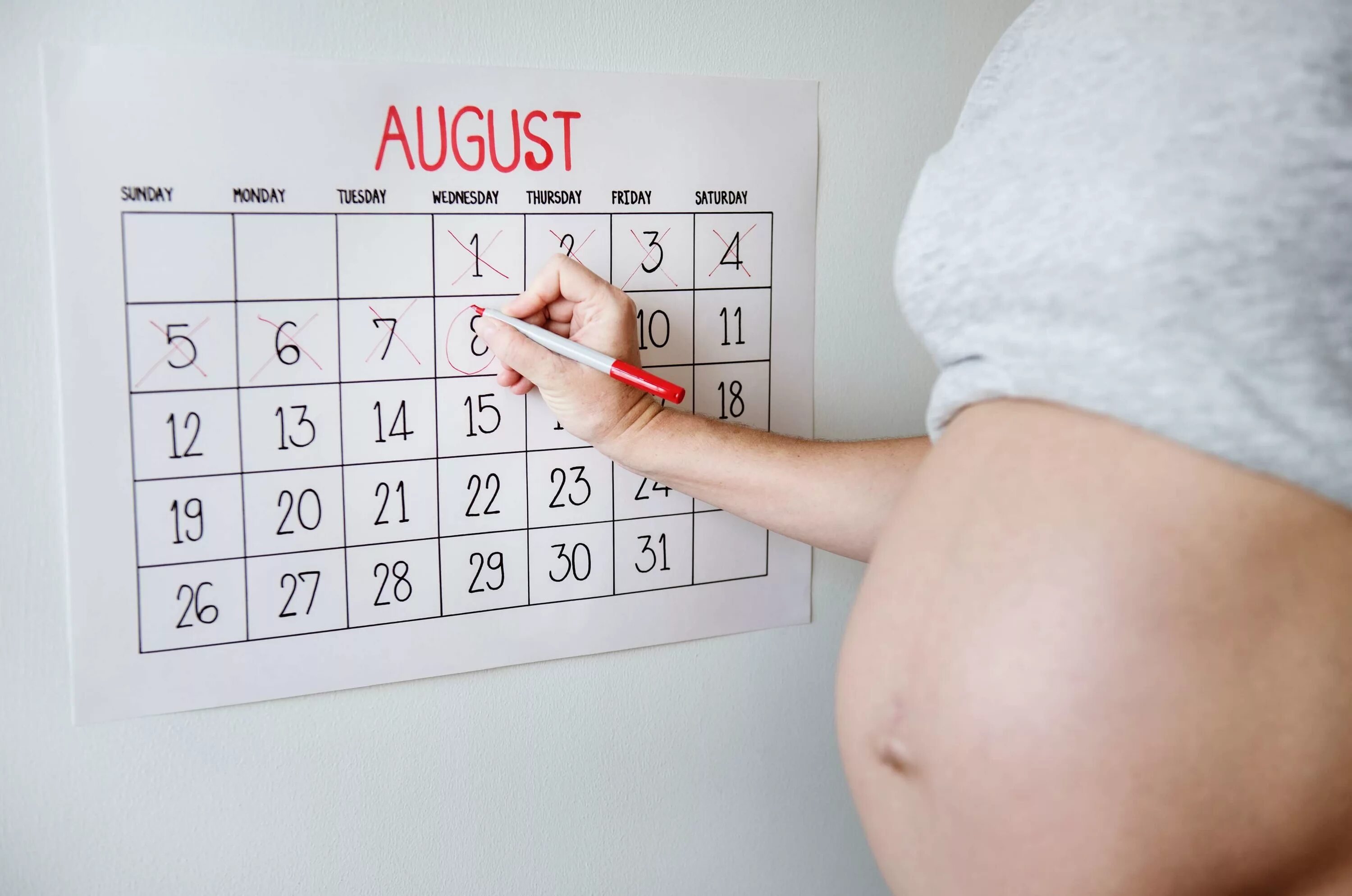 Сколько недель в го. Календарь беременности. Календарь для беременных женщин. Календарик для беременных.