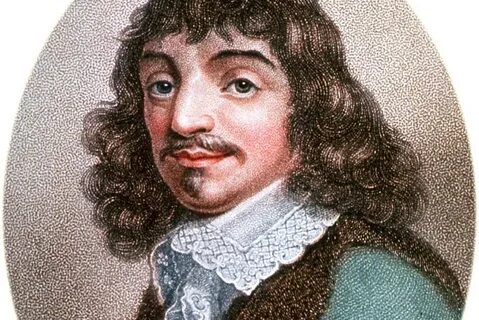 Rene dekart ул ленина 12 отзывы
