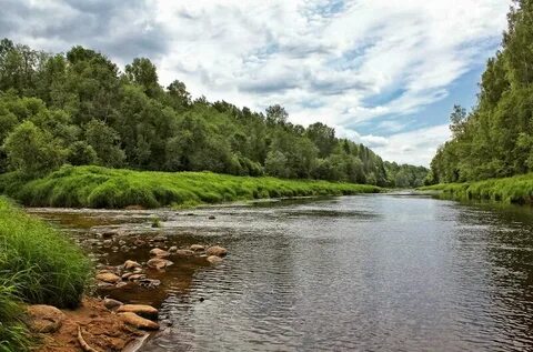 Новгородские реки