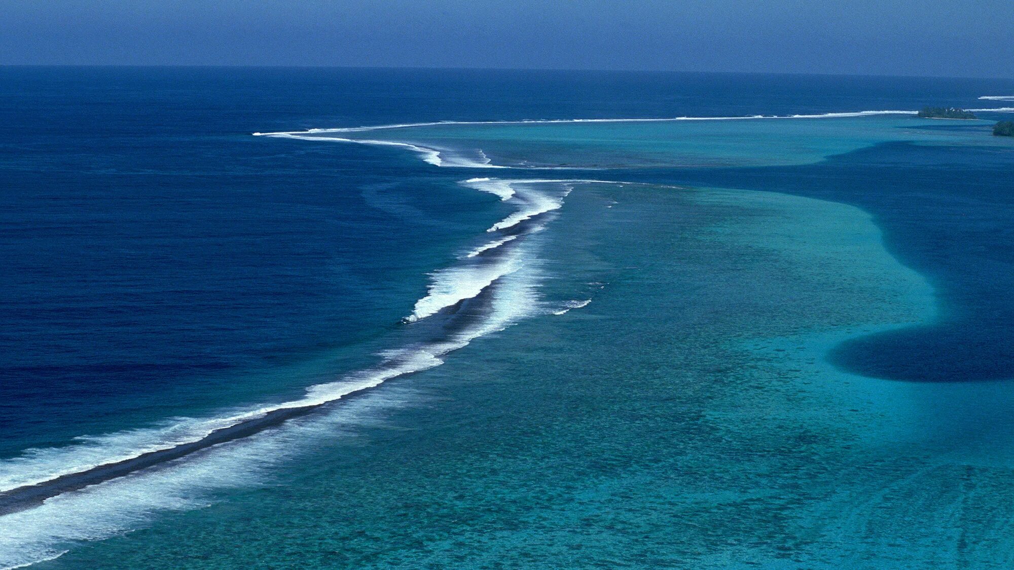 Суша океан процент. Биом открытый океан. 15 Морей. Морские биомы известные. Мольстртм в море.