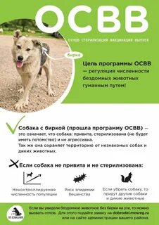 Программа освв
