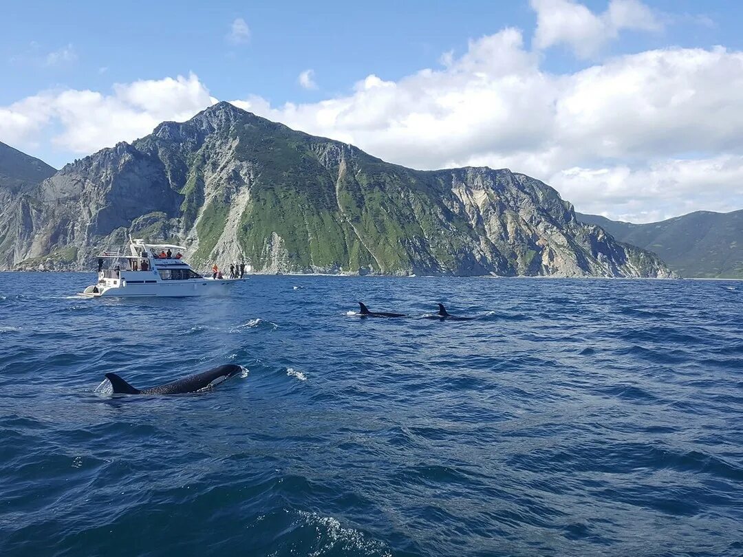 Камчатский морской