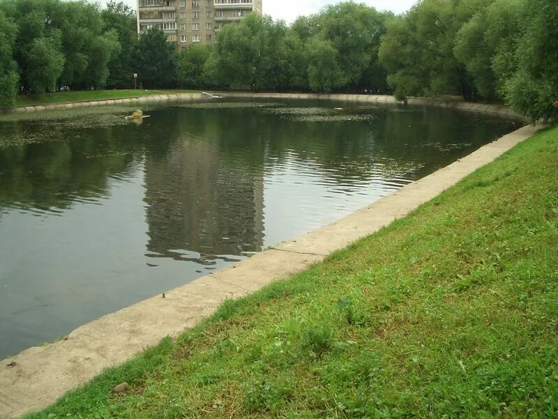Пруды москвы в аренду. Пруды москвы в аренду. Андроповский пруд в москве. Калитниковский пруд благоустройство 2017. Москва нескучный сад пруды.