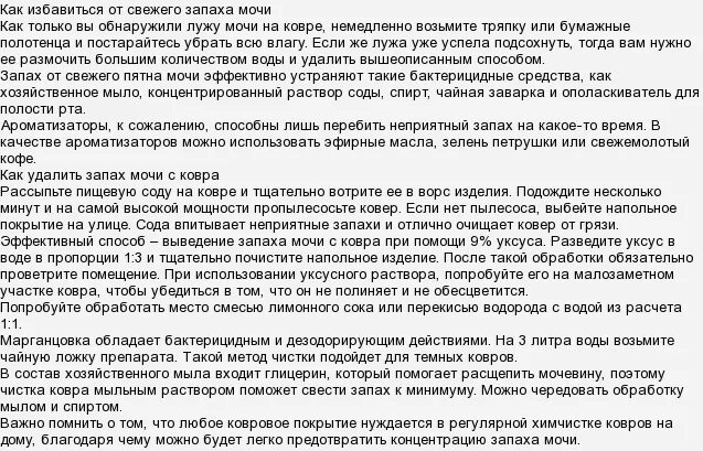 Как избавиться от запаха кошачьей мочи. Как избавить от запаха кошачьей мочи. Как убрать запах мочи кошачьей мочи. Как избавиться от запаха мочи в квартире. Как эффективно убрать кошачий запах мочи