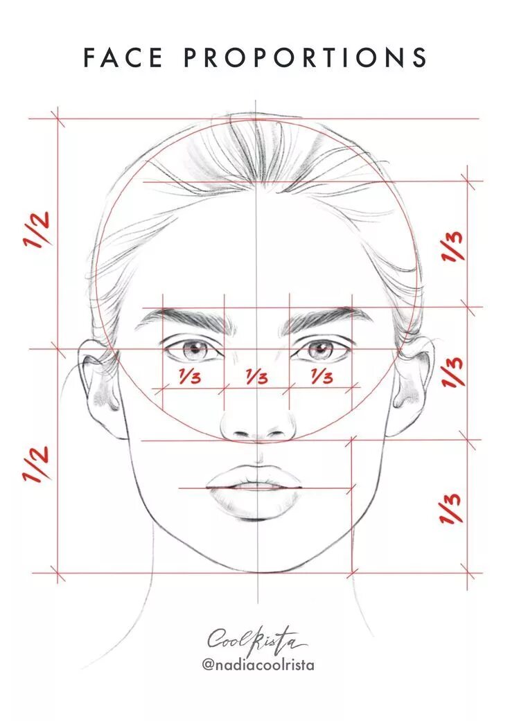 Нарисует какое лицо. Пропорции портрета человека. Пропорции лица человека при рисовании портрета схема. Портрет пропорции лица человека поэтапно. Пропорции глаза человека при рисовании портрета.