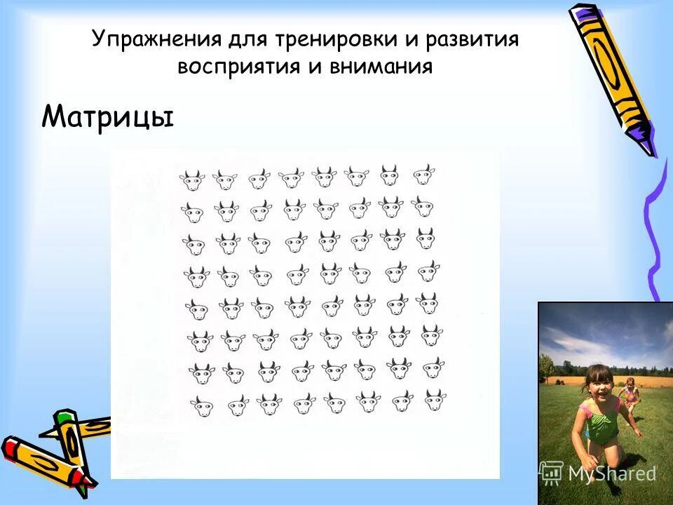 Укажите упражнение для развития