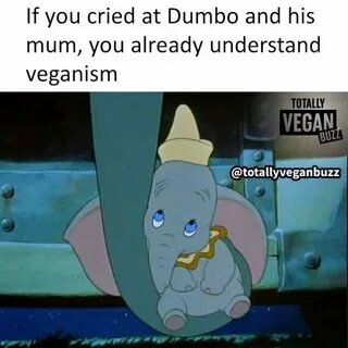 Already understood