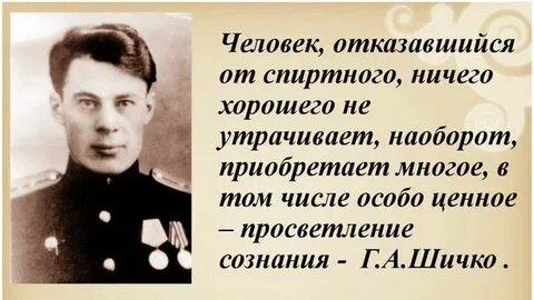 Шичко трезвость