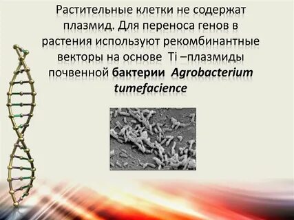 Методы переноса генов в клетки