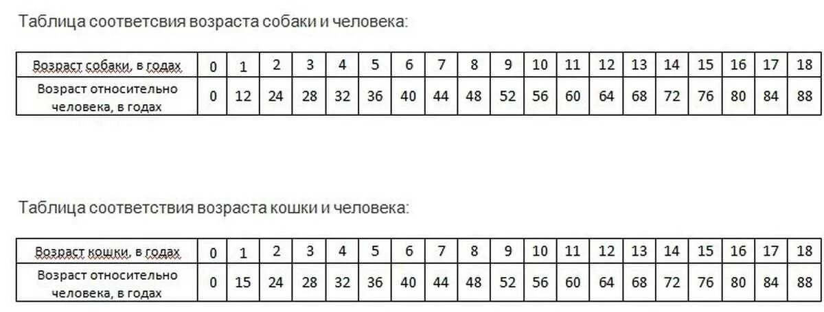 Сколько лет попугаю по человеческим. Таблица возраста собак. Собачий год по человеческим меркам. Возраст собаки по человеческим меркам таблица. Сколько лет черепахе по человеческим меркам.