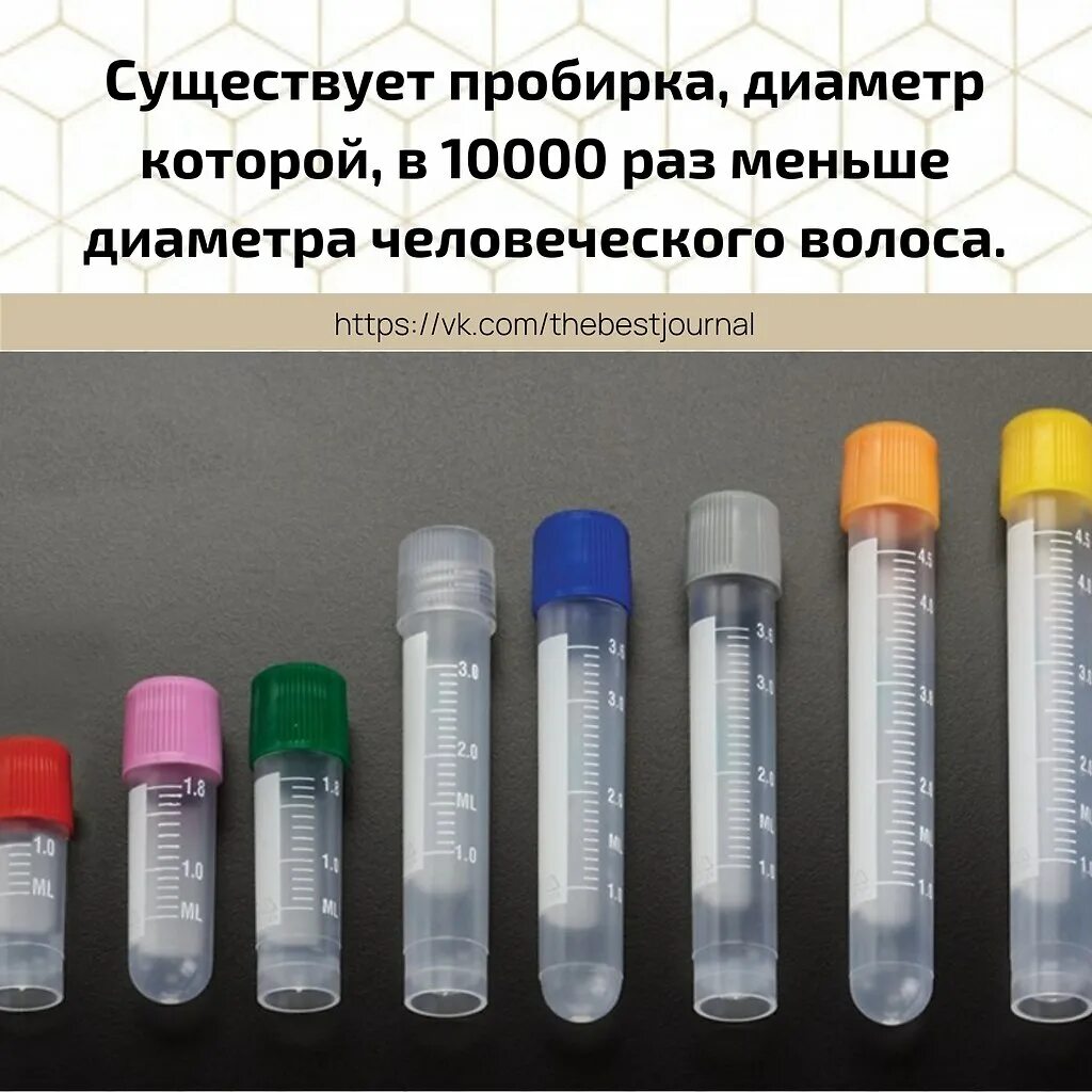 Содержимое пробирок. Содержимое пробирки. Содержимое пробирки. Содержимое пробирки. Vacutainer пробирки.