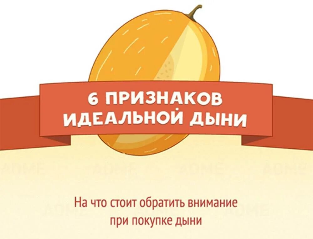 Как выбрать дыню. Выбираем дыню правильно. Как правильно выбрать дыню. Признаков идеальной дыни. Люблю дыню