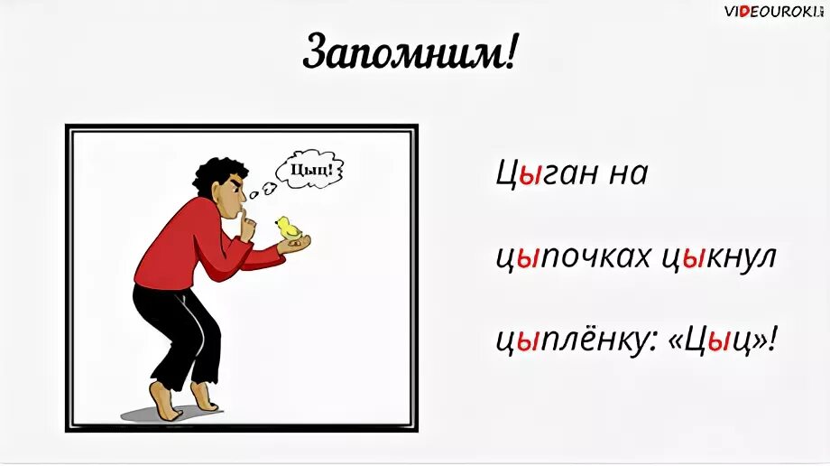 Цыган цыкнул цыпленку цыц. Цыган цыц на цыпочках. Правило цыган на цыпочках. Цыпленок на цыпочках цыкнул. На цыпочках написание