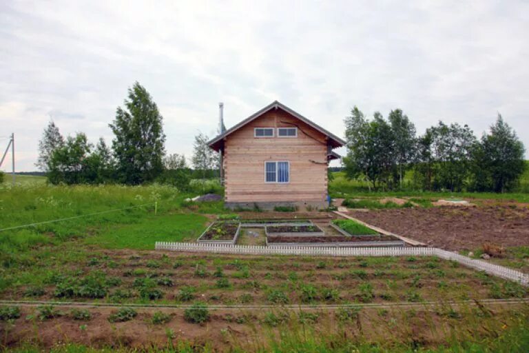 участок 100 соток. подгорье демянский район. есипово серебряно-прудский район. недорогие сотки. садовый участок с домиком.