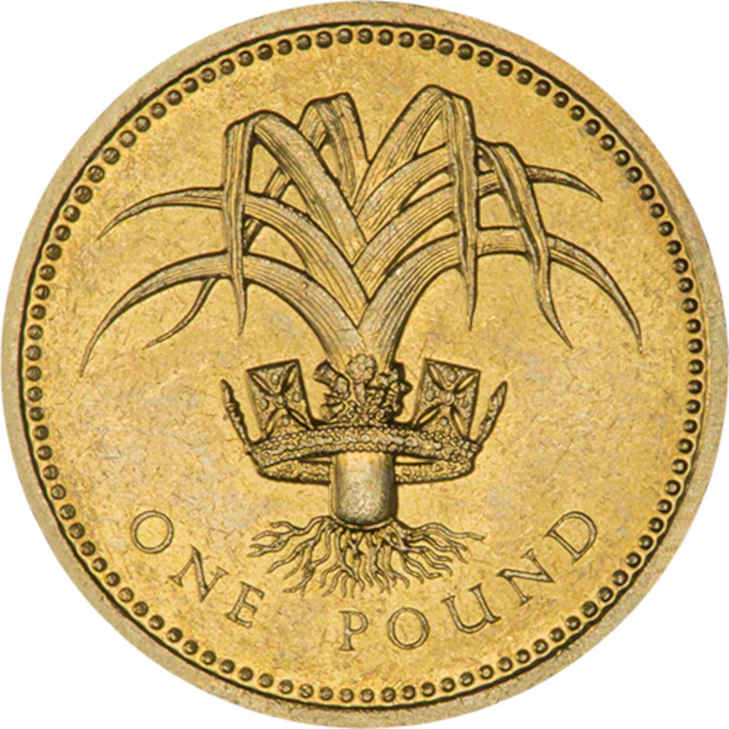 First coins. Монета one pound Elizabeth 1985. Монеты 1 фунт Великобритании лук порей. Монеты Великобритании 1 фунт. Один фунт Великобритании 1985.