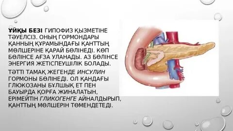 Гинекологтың кабинетіндегі анальді секс алдында жыныстық клизма жасаудың видеосы.
