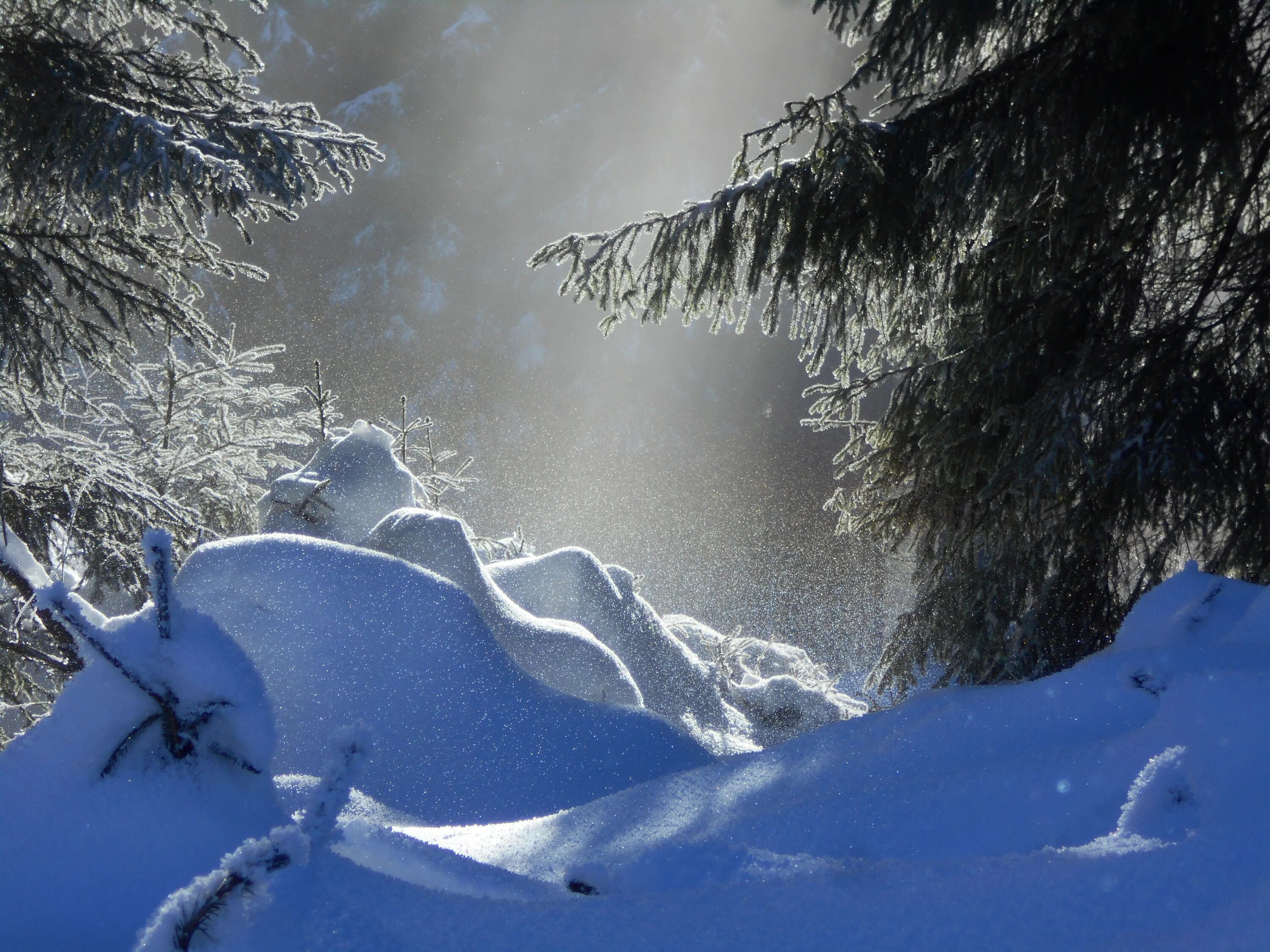 Snow is beautiful. Снег сугробы. Снег фото. Изображения зимней природы. Небольшой снег природа.