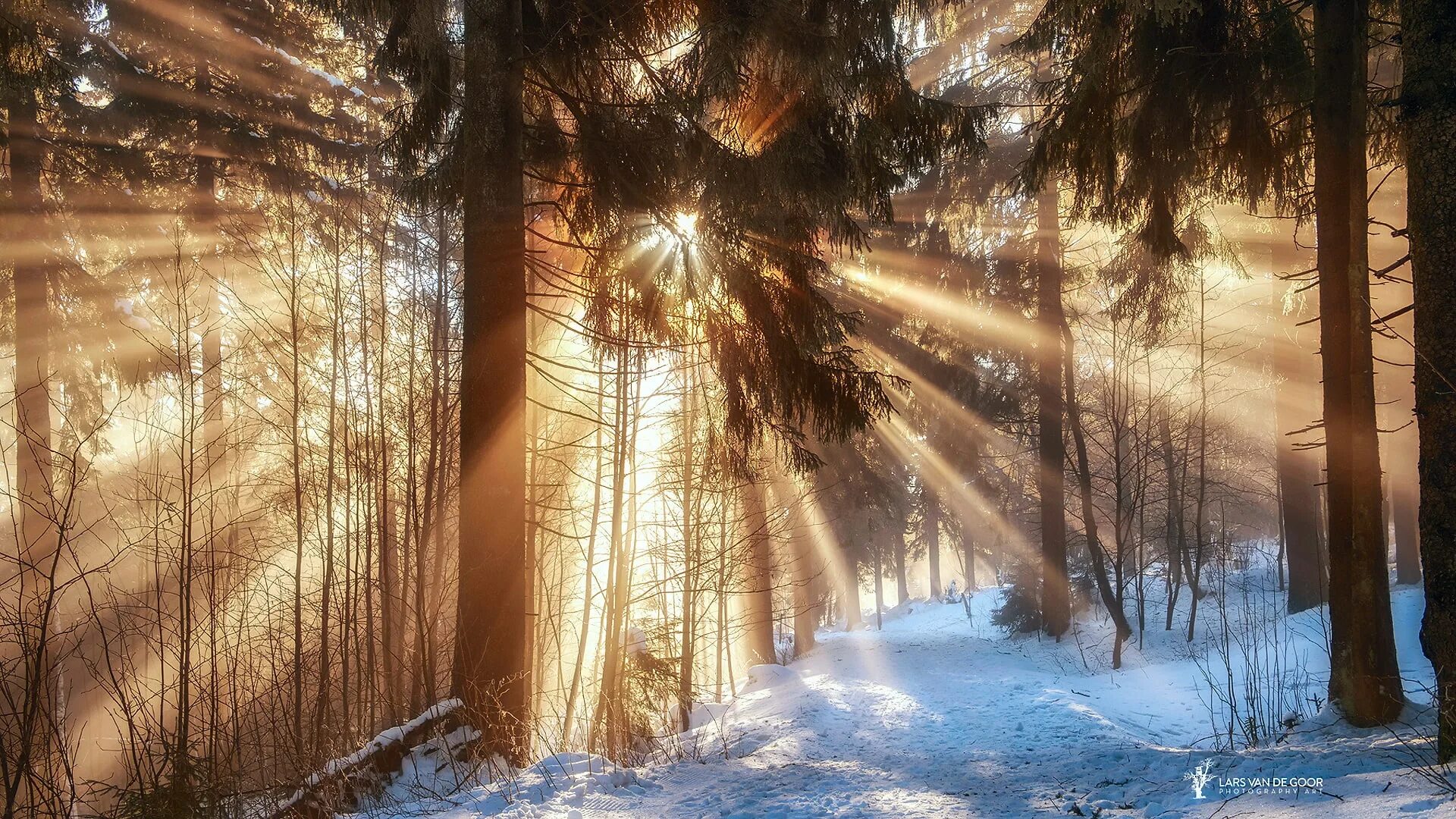 Картинки февраль стильные. Зима солнце. Зимний лес солнце. Солнечные лучи зимой. Солнечное зимнее утро.