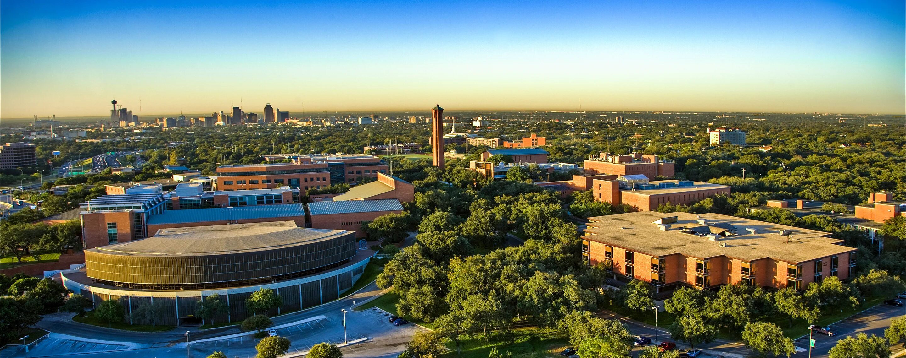 Trinity university