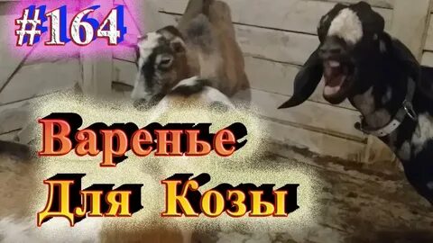 Усадьба белая коза последние ютубе