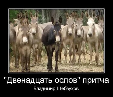 Осел анекдот