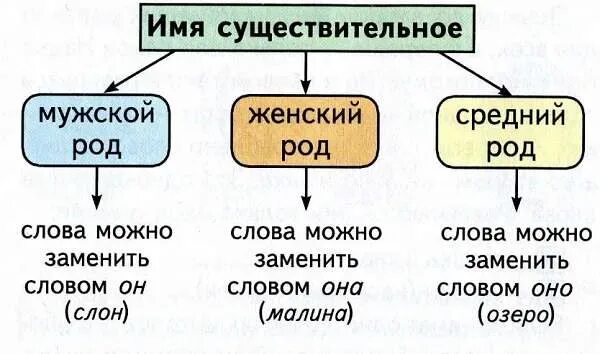 Мужской женский средний род. Имя существительное род. Существительные мужского женского и среднего рода. Мужской средний женский род имен.