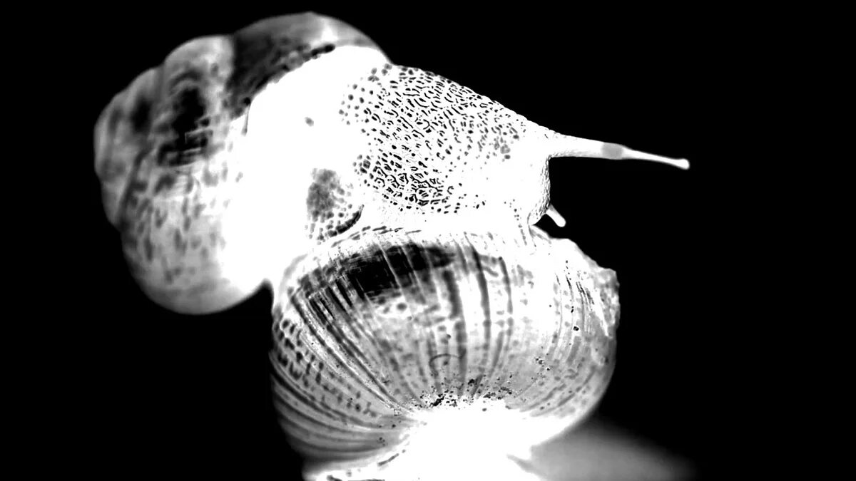 Ich weiss es nicht. Ich weiß es. Ich weiß es. Ich weiß nicht was soll es bedeuten стихотворение перевод. Ich weiß es.