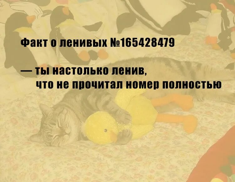 настолько лень. настолько лень. настолько лень.