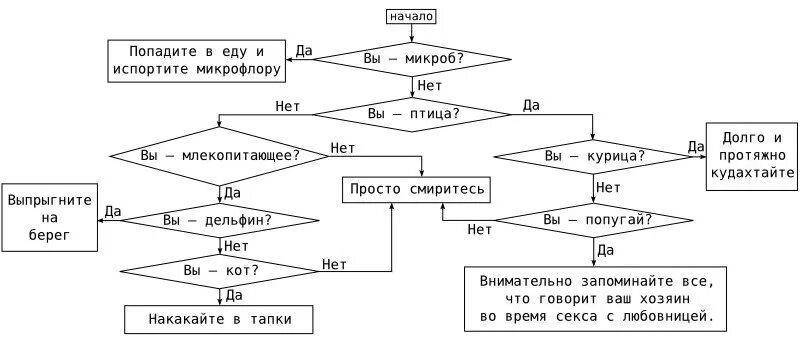 Тема урока "Алгоритмы"