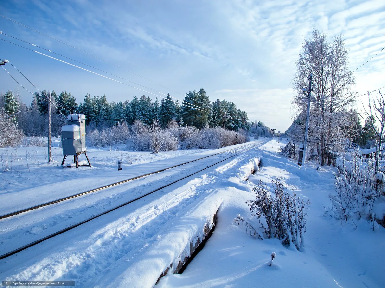 Железная дорога зима. Зимний пейзаж с железной дорогой. ЖД дорога зимой. Рельсы зимой.