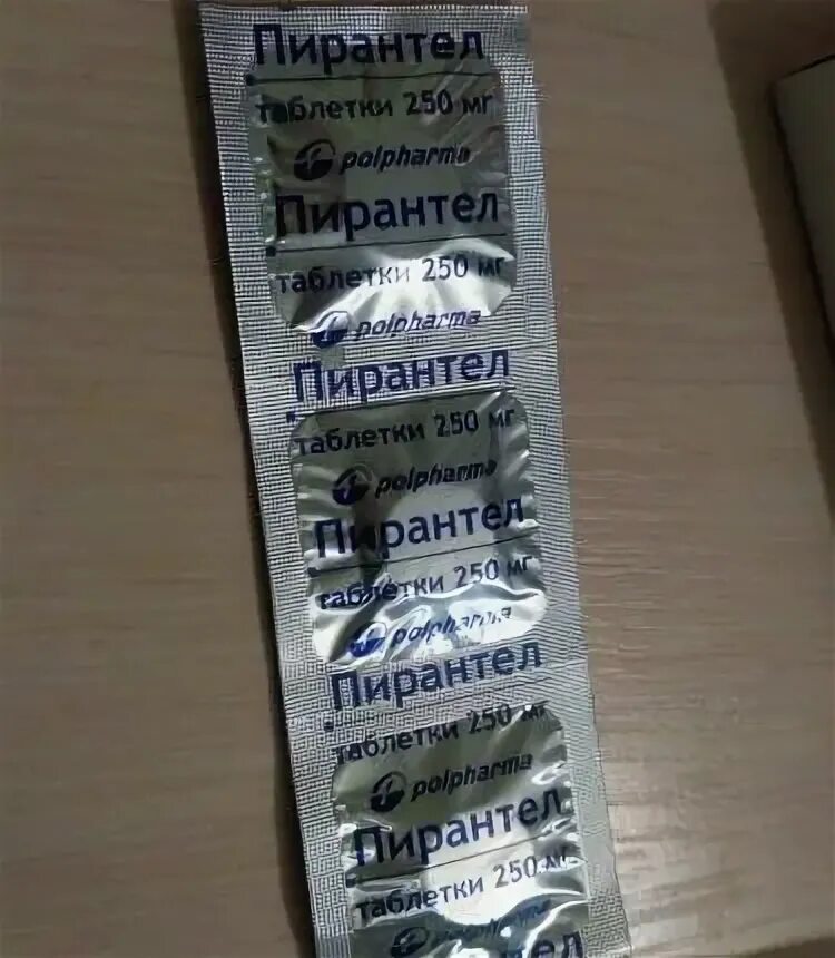 Пирантел отзывы взрослых форум. Пирантел таблетки для детей отзывы. Пирантел polpharma. Пирантел разжевать. Пирантел разжевать.