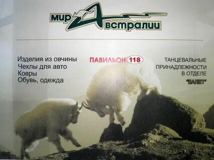 Реклама барашки