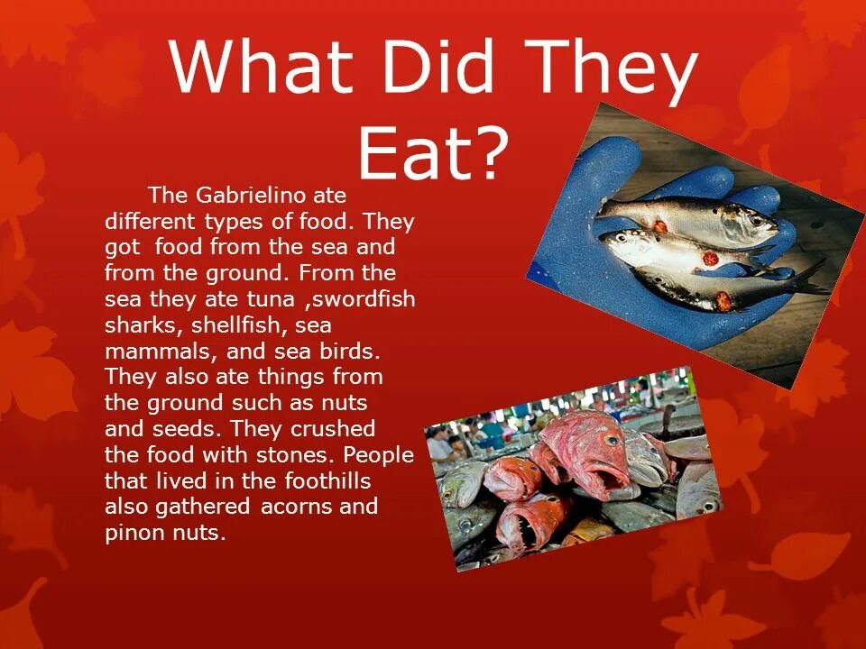 Eat как переводится на русский. What do they do. They are eating Fish. Do they eat? Или does they eat?.