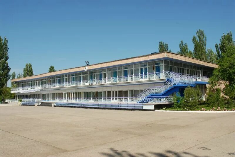Красная гвоздика бердянск