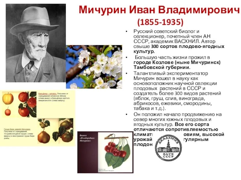 Сообщение о достижениях селекции. Сообщение о достижениях селекции