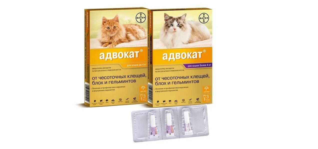 Адвокат капли для котят. Адвокат: капли для кошек от паразитов. Bayer адвокат капли для кошек до 4 кг 1 пипетка. Адвокат от глистов для кошек. Адвокат от блох и клещей