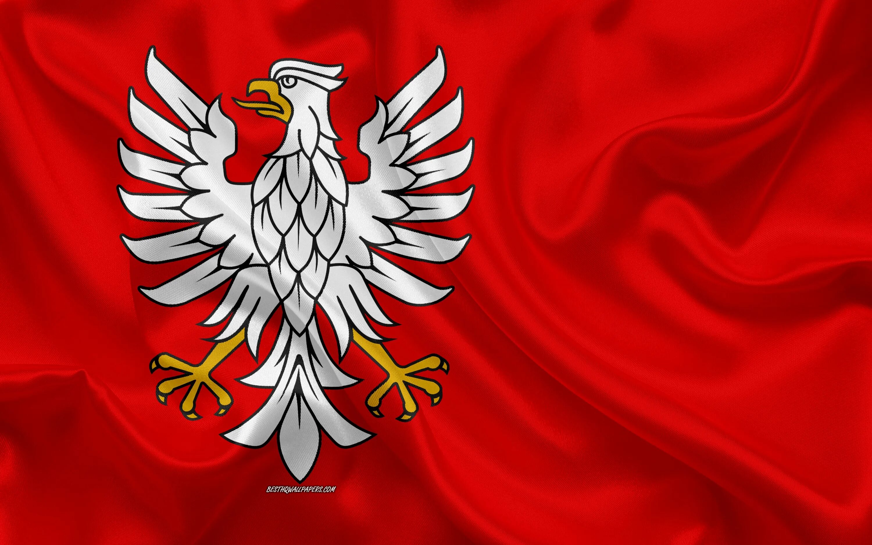 Флаг Польши 1940. Польша флаг и герб. Флаг Польши 1936. Флаг Польши 1918. Какой символ польши