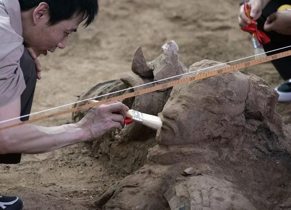 китайские археологи