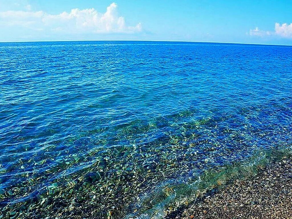 Сочи под воду. Пицунда Абхазия море. Черное море Пицунда. Прозрачное море Пицунда Абхазия. Морская Лагуна Пицунда.