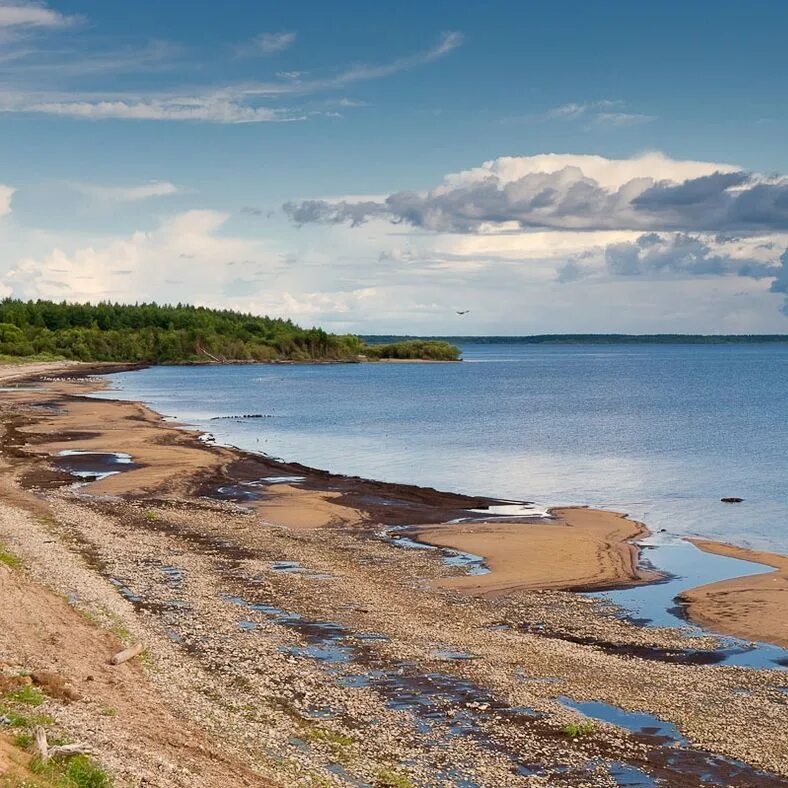 Рыбинское водохранилище есть. Весьегонск Рыбинское водохранилище. Рыбинское водохранилище Весьегонск пляж. Рыбинское водохранилище Рыбинск. Рыбинское водохранилище Череповец.