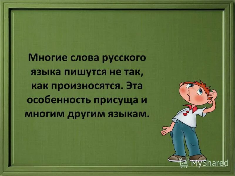 Происхождение слова пчела. Архаизмы это устаревшие слова вышедшие из употребления. Слова паразиты. Слов почему некоторые слова. Имена сущ общего рода.