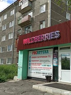 Омск магазин wildberries