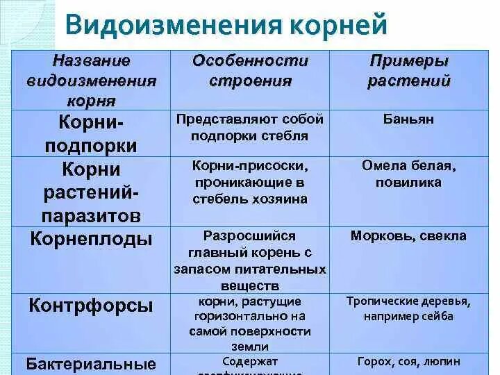 Видоизменения корня таблица функции. Функции класса называются