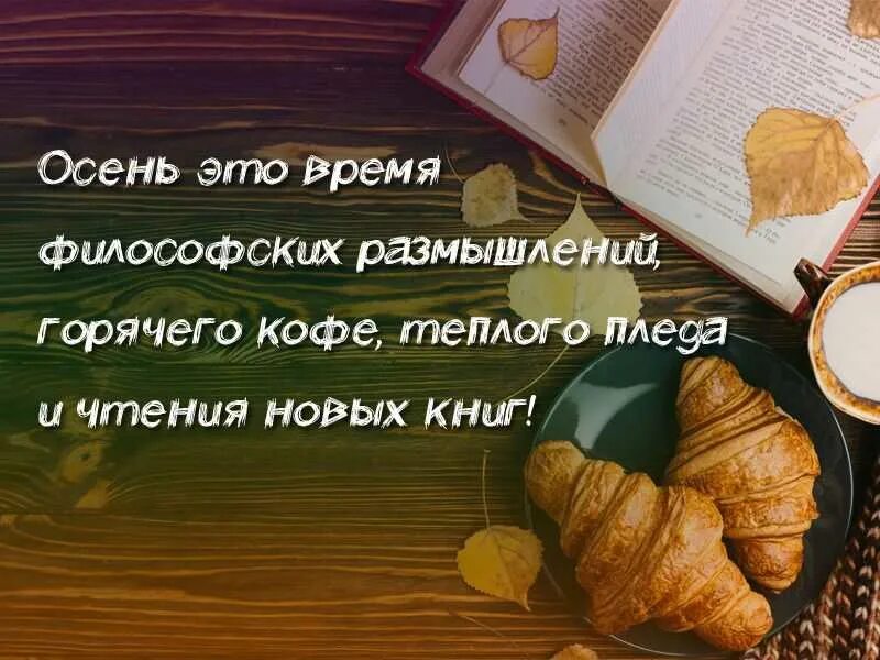 Философия осени. Цитаты про осень и книги. Высказывания осень и чтение. Осень и чтение книг цитаты. Читать книгу книгу размышления