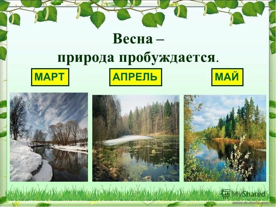 Явления живой и неживой природы весной. Март апрель май природа. Весенние месяцы. Живая природа весной.