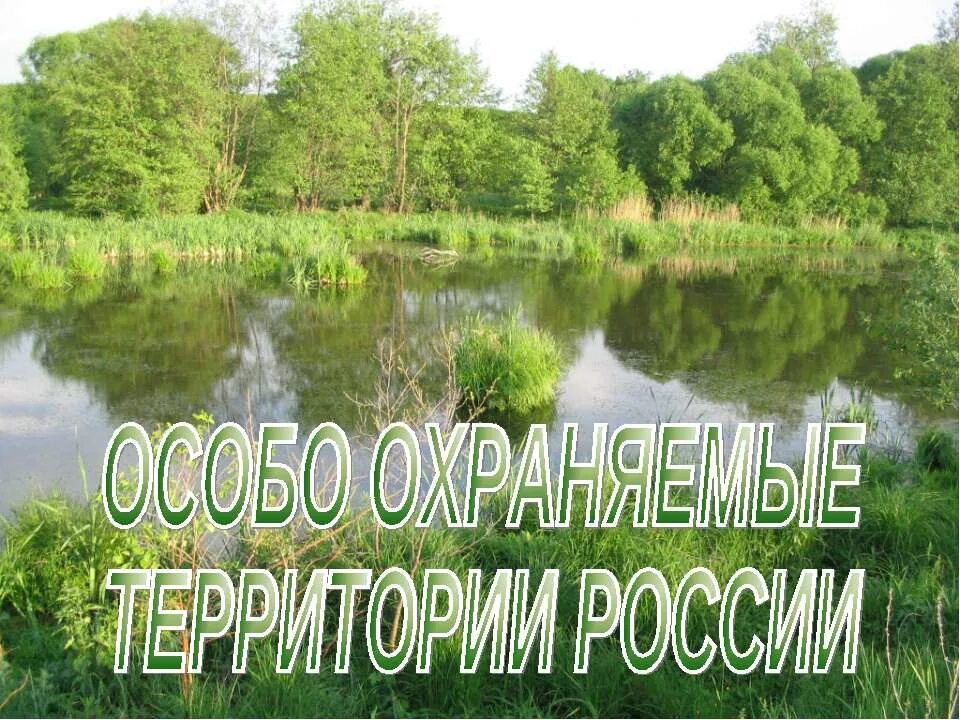 Особо охраняемые природные территории россии презентация 8. Особо охраняемые земли. Особо охраняемые природные территории России. Охраняемые природные территории презентация. Земли особо охраняемых территорий и объектов.